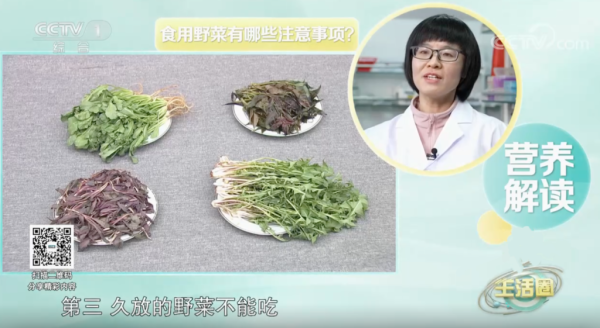 创盈在线 春天推荐这4种野菜，如何正确食用？请收藏