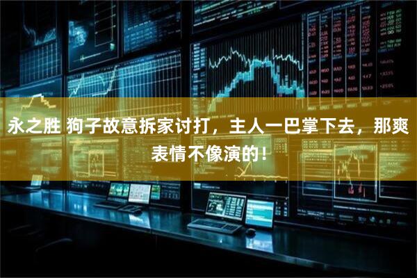 永之胜 狗子故意拆家讨打，主人一巴掌下去，那爽表情不像演的！